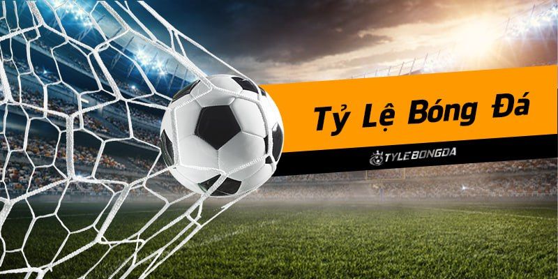 Tỷ Lệ Kèo Nhà Cái NEW88 Uy Tín - Độ Chính Xác Cao 3 Hướng dẫn cách đọc tỷ lệ kèo nhanh chóng