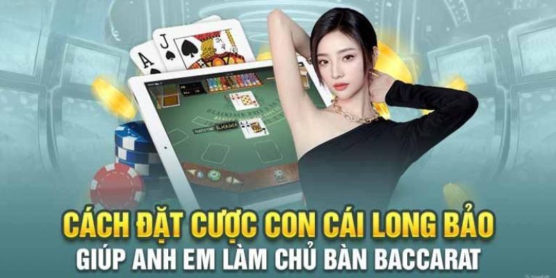 Long Bảo Là Gì? Khám Phá Chi Tiết Về Long Bảo Trong Baccarat 3 Địa điểm đặt cược long bảo uy tín