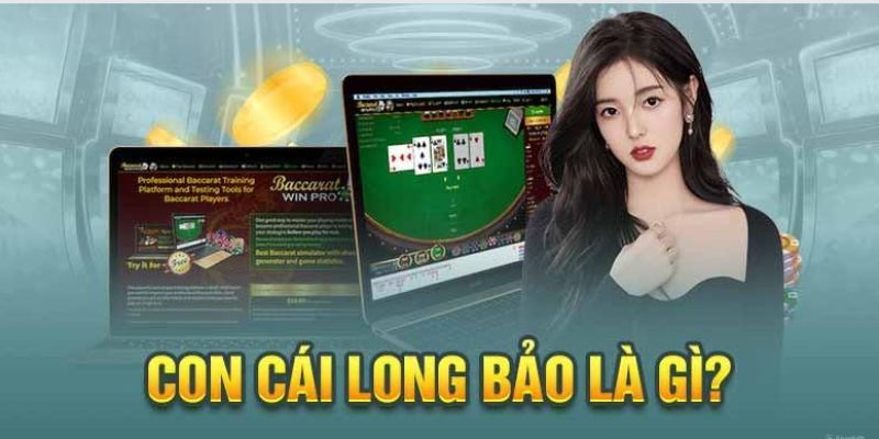 Long Bảo Là Gì? Khám Phá Chi Tiết Về Long Bảo Trong Baccarat 1 Thông tin chi tiết về long bảo là gì?