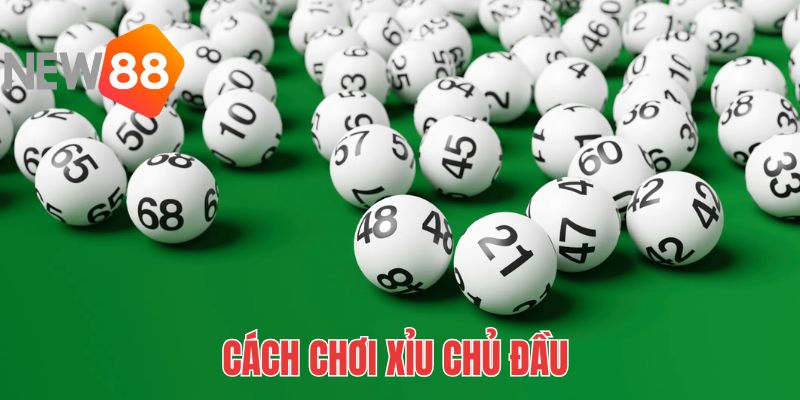 Xỉu Chủ Là Gì? Cách Chơi Và Soi Cầu Cực Hay Từ NEW88 2 Chủ đặc biệt chỉ áp dụng cho giải đặc biệt, còn gọi là 3 càng
